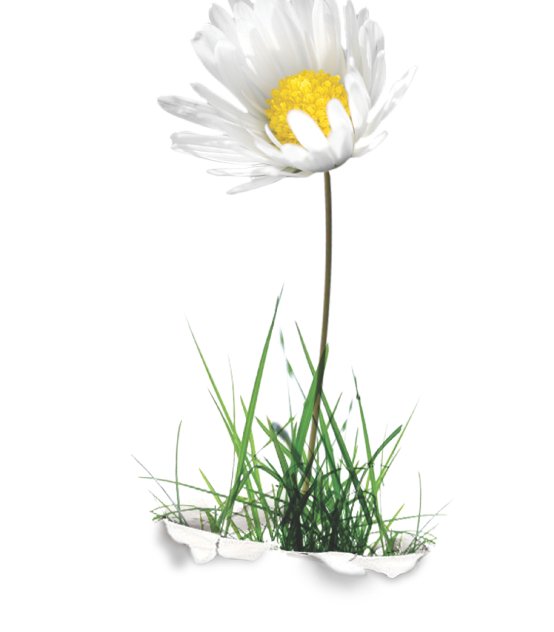 Michaela Pucher-Schwartz